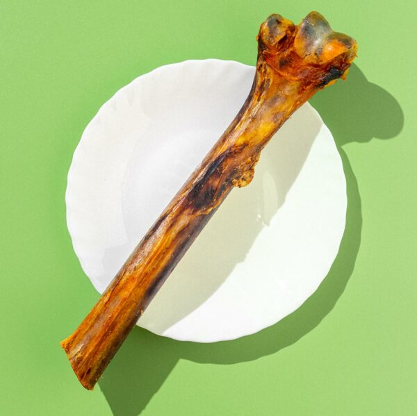 Tibia di Struzzo