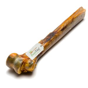 Tibia di Struzzo