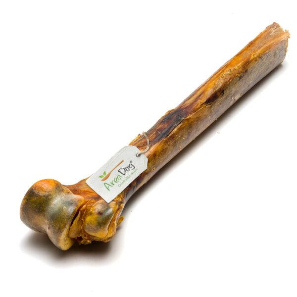 Tibia di Struzzo