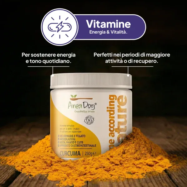 L.A.N. Polvere di Curcuma