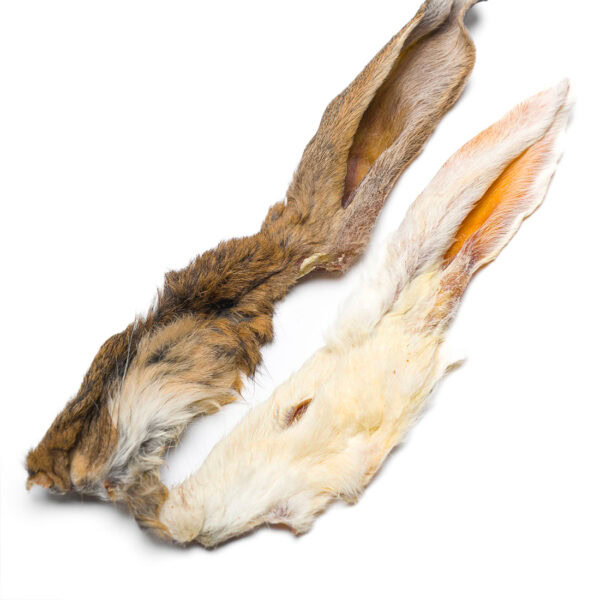 Orecchie di Coniglio con Pelo