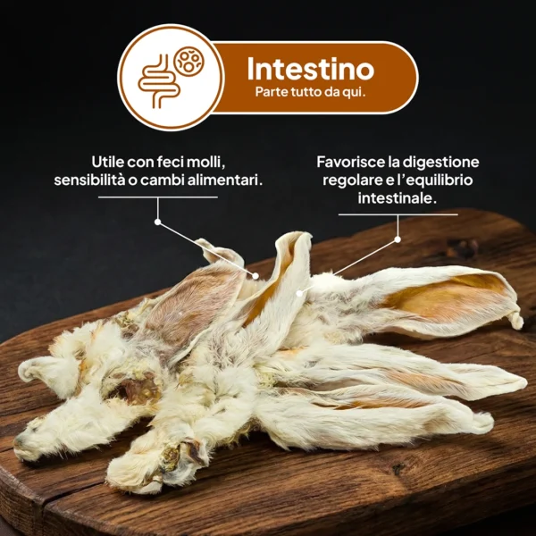 Orecchie di Coniglio con Pelo