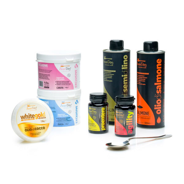 Support Box