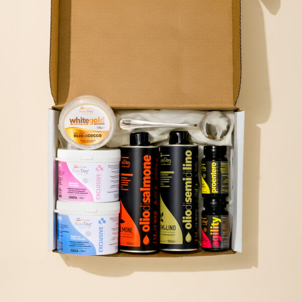 Support Box