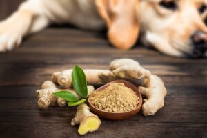 Zenzero: un tesoro sottoterra!