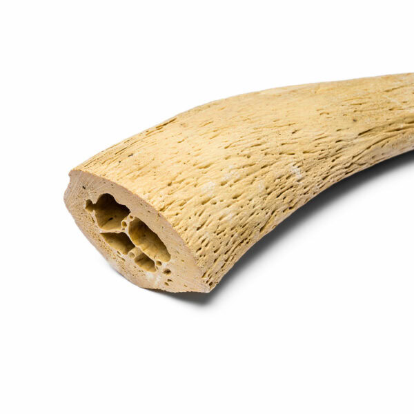 Cuore di Corno di Bufalo