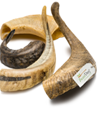 Masticativi