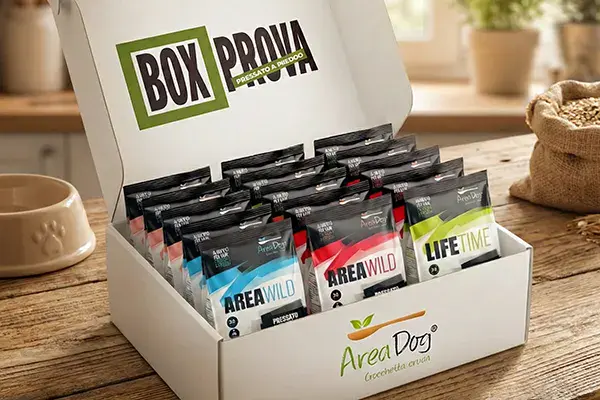 Box prova